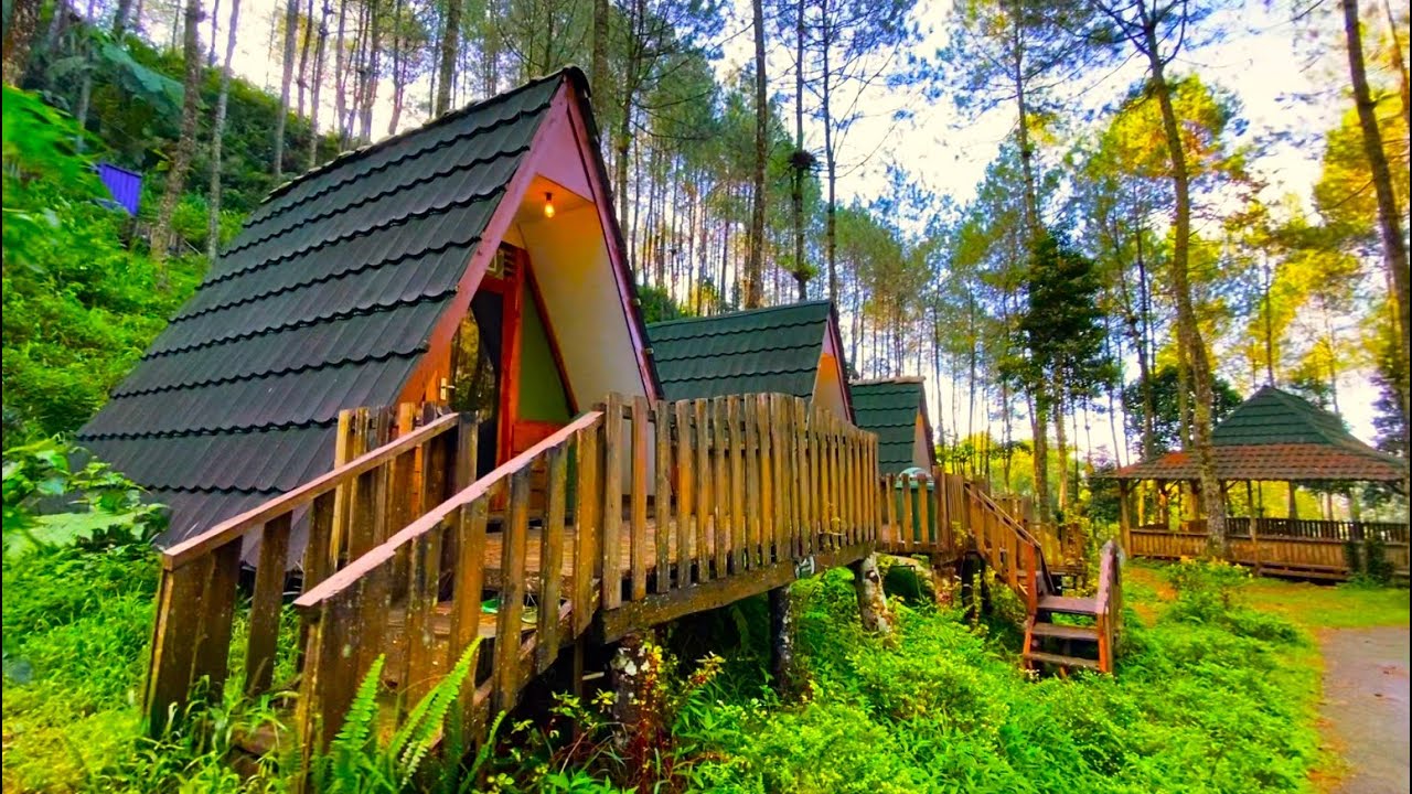 Telomoyo Nature Park: Menjelajahi Pesona Alam di Lereng Gunung Telomoyo